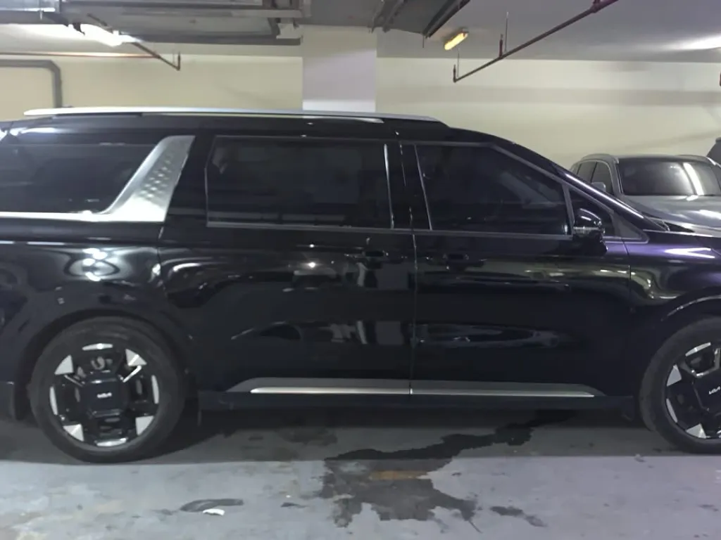 KIA Carnival 2025 #3